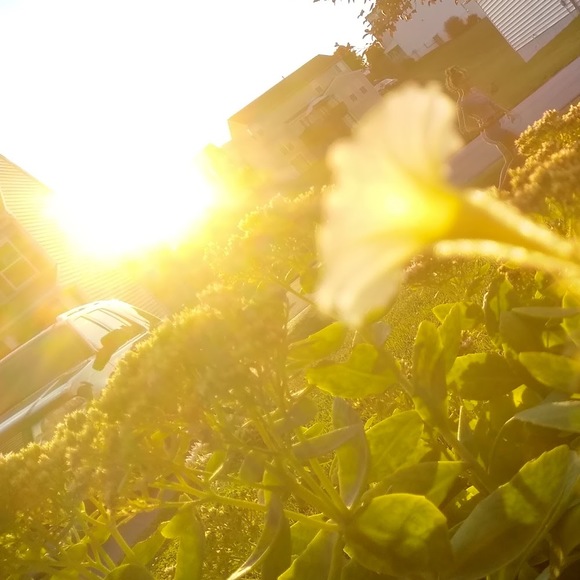 Meet your Posher, Alyssa - Picture 1 of 1